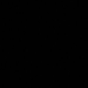 Meet your Posher, Gary